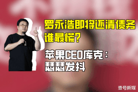 霸州要账公司更多成功案例详情